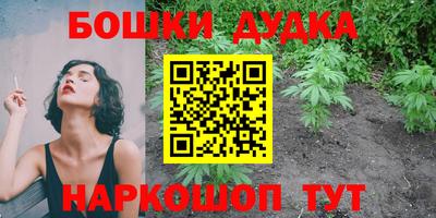 шишки Гусь-Хрустальный