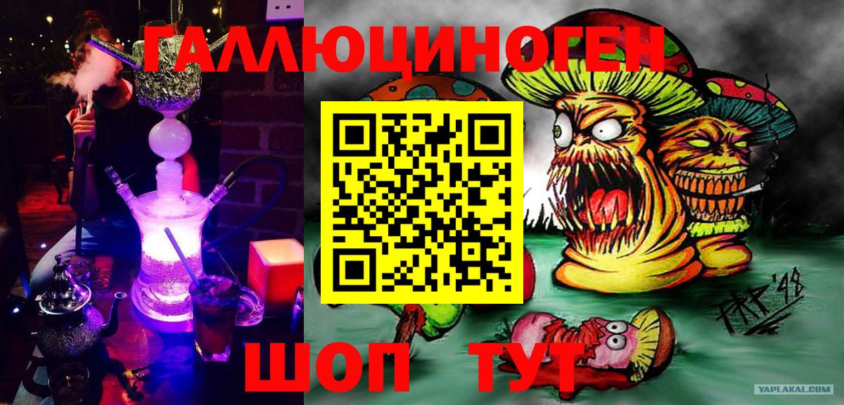 Галлюциногенные грибы Psilocybine cubensis Междуреченск
